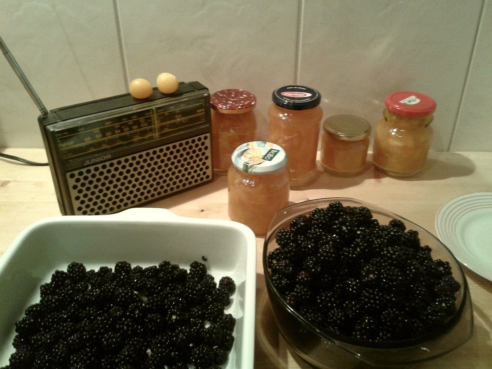 Część niedopuszczonych do sprzedaży zbiorów.