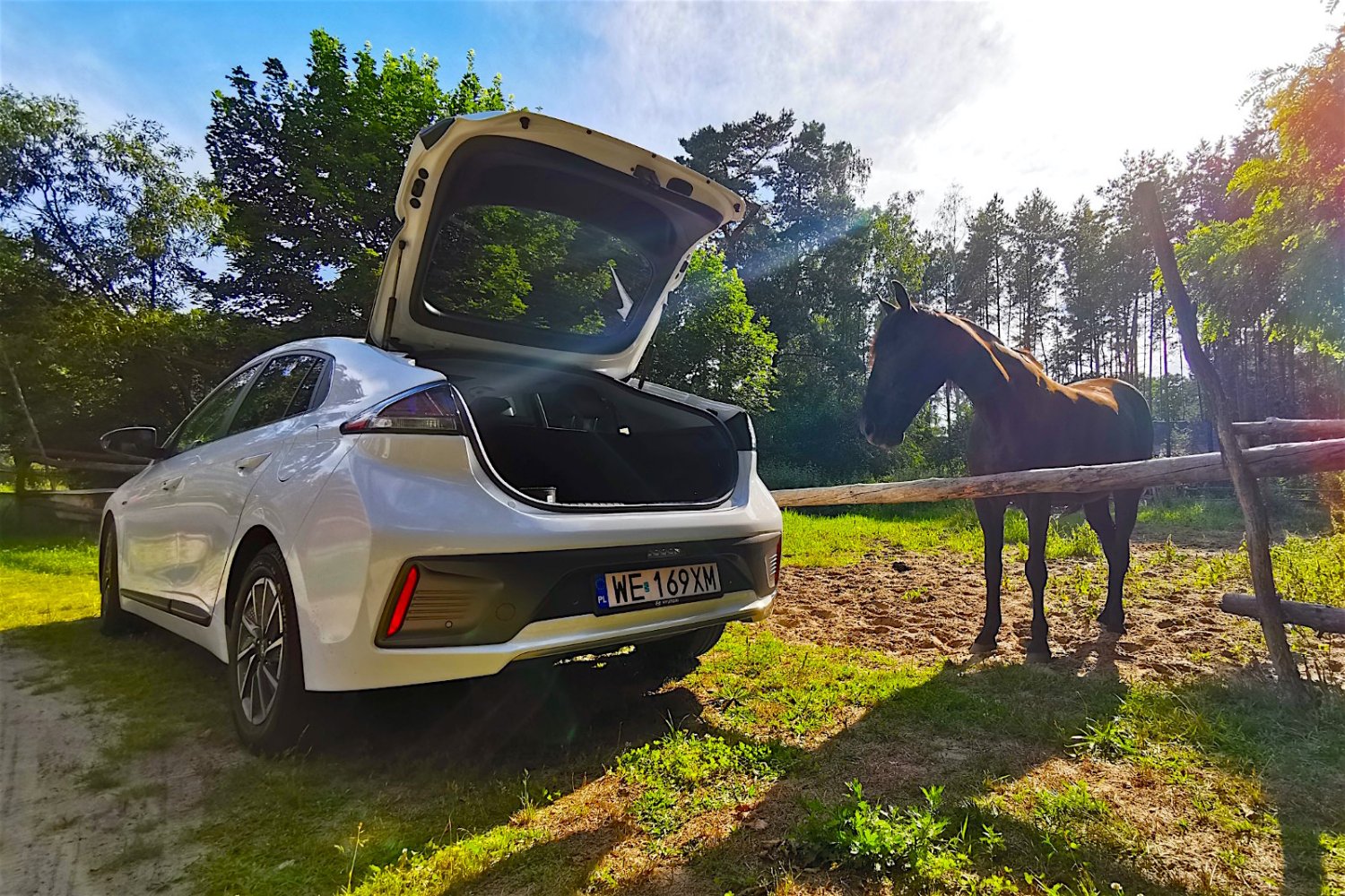 Hyundai Ioniq Electric