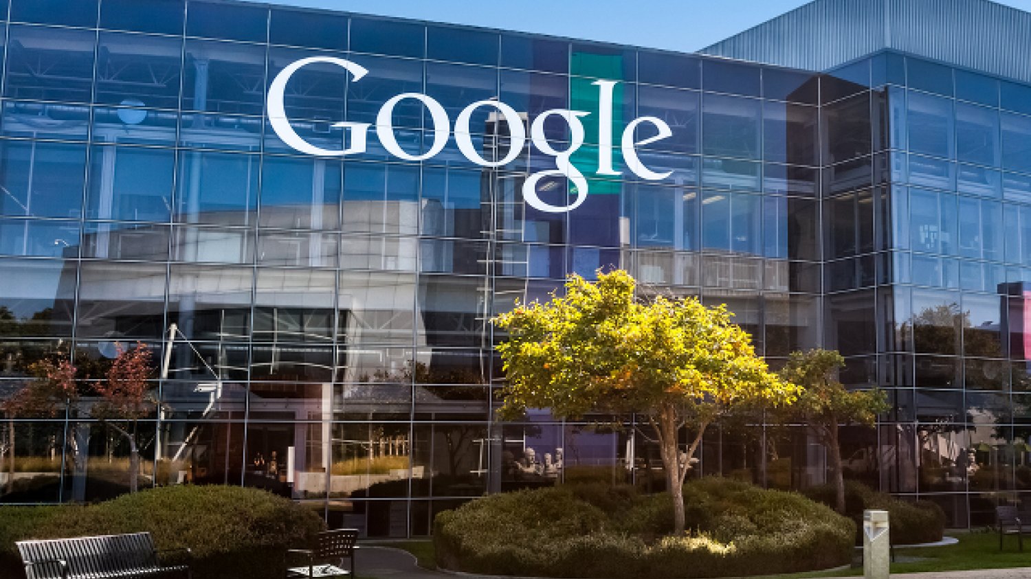 Google szaleje. Amerykański gigant właśnie kupił domenę abcdefghijklmnopqrstuvwxyz.com