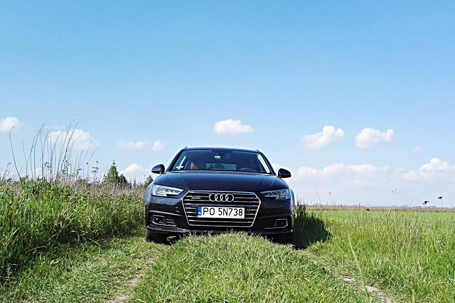 Audi A4 Avant, czyli popularne kombi.