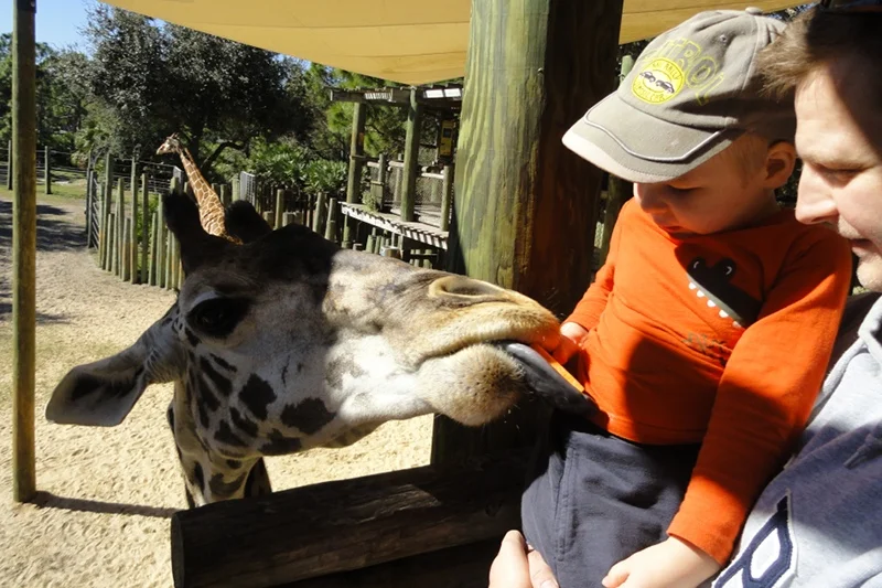Zoo na Florydzie
