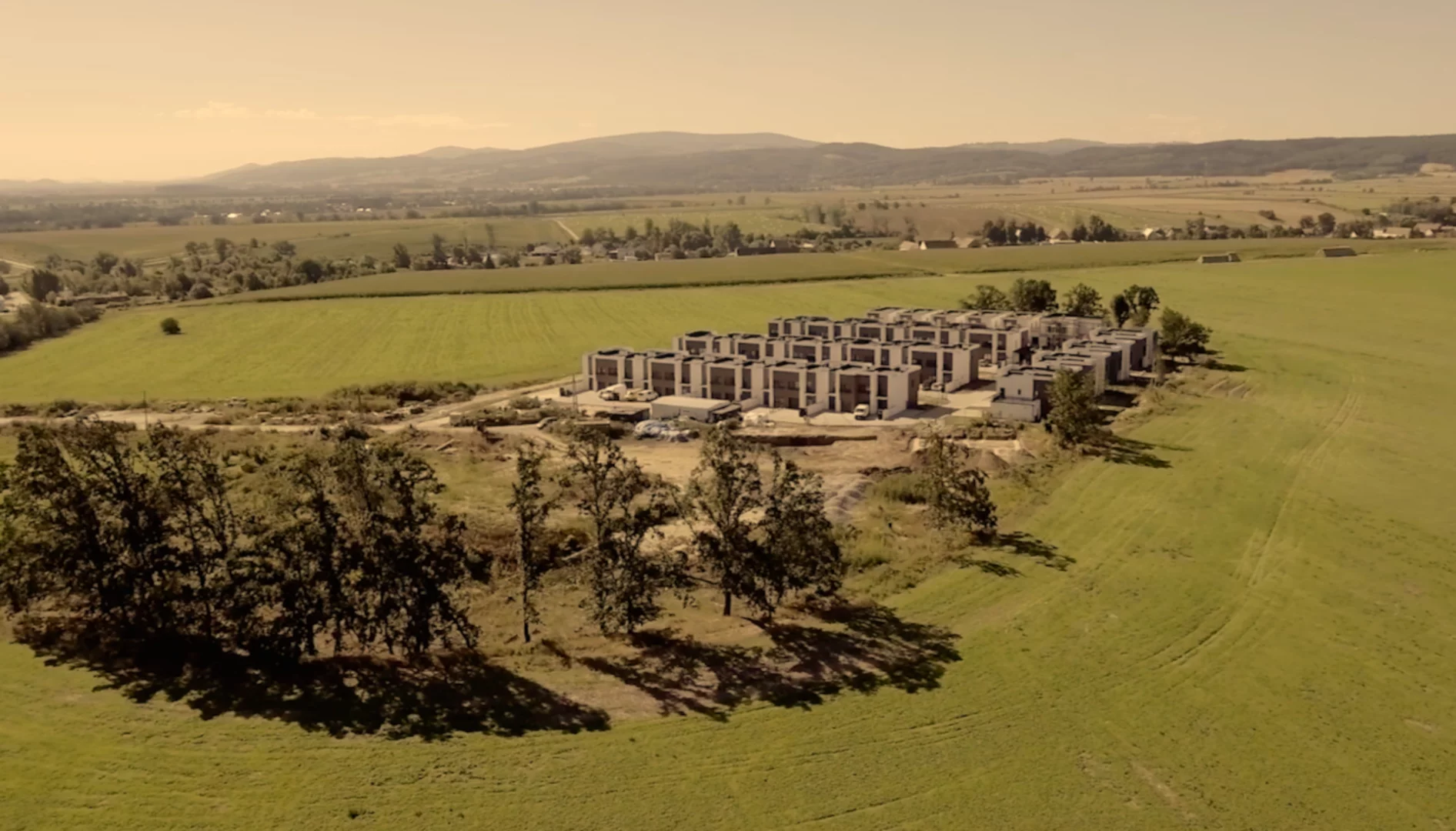 Pamiętacie słynne osiedle w polu? Deweloper od "polskiego Dubaju": Nie jestem rzeźnikiem drzew