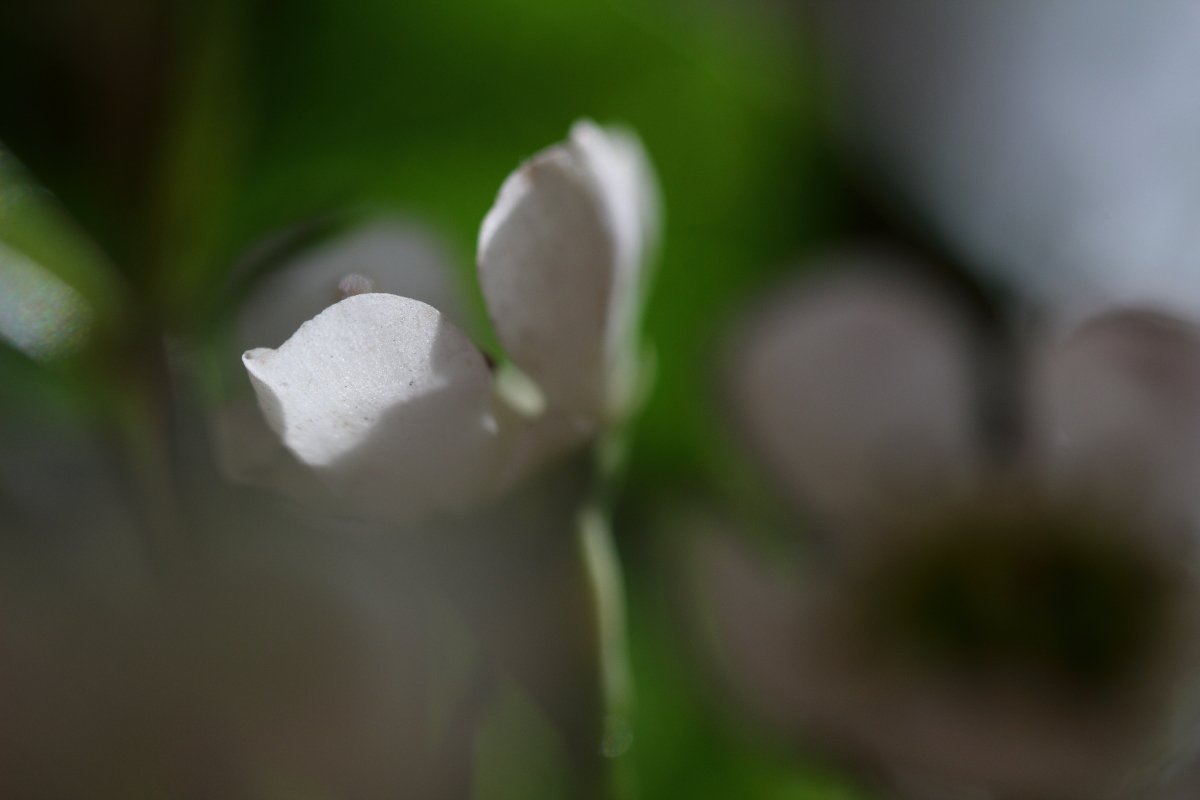 Autor: Anna Hildebrandt-Mrozek