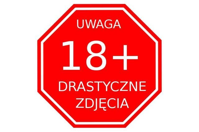 Egzekucja amerykańskiego dziennikarza to kolejny pokaz siły terrorystów z ISIS. Nagłówki mówiące o ściętej głowie i barbarzyństwie działają na wyobraźnię