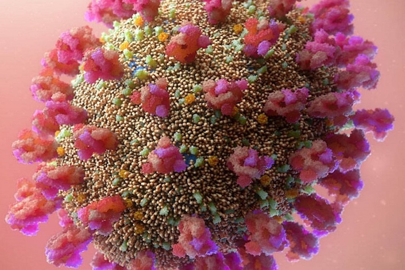 Koronawirus – wizualizacja.