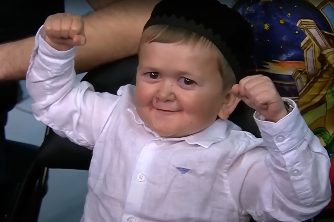 Hasbulla Magomedov został aresztowany w Dagestanie.