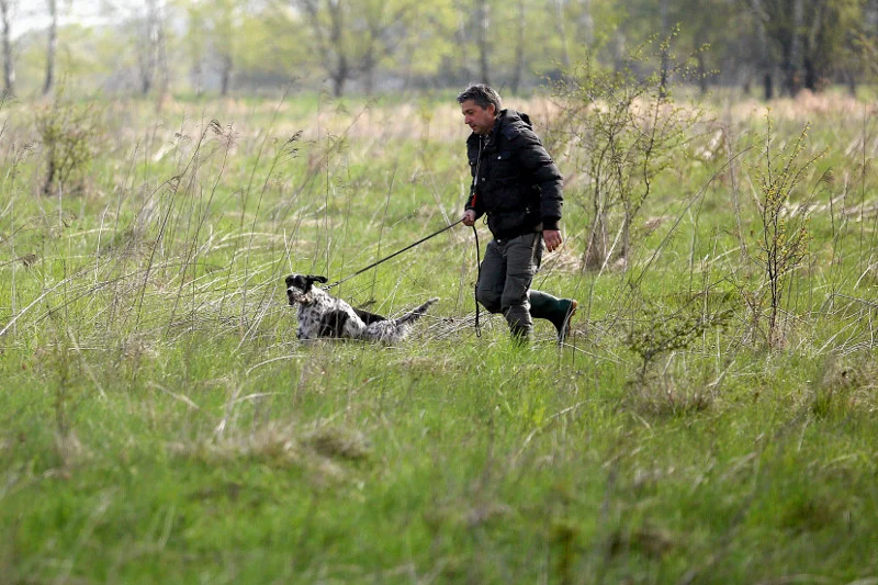 Nowelizacja Prawa łowieckiego nie zezwala na wykorzystywanie żywych zwierząt w szkoleniach ptaków łowczych i psów myśliwskich.