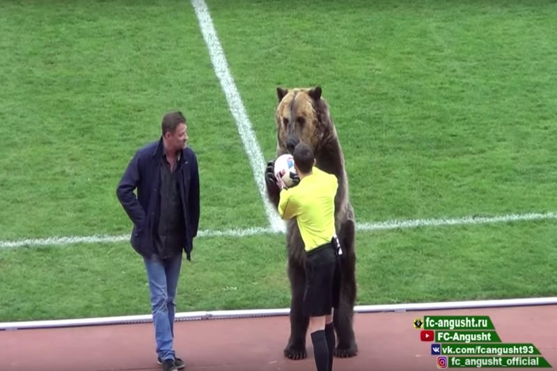 Mundial otworzy... niedźwiedź Tim!