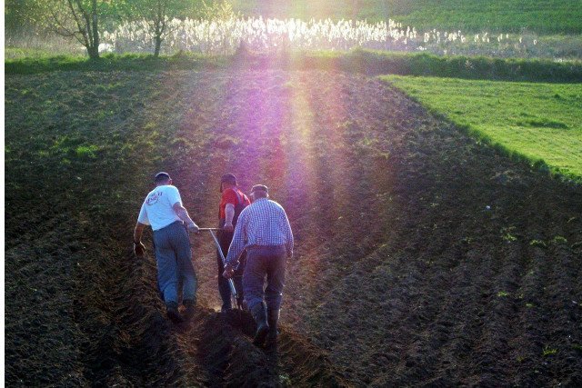 Rolnicy też krytykują "dobrą zmianę", ale PiS nie widzi ich problemów.