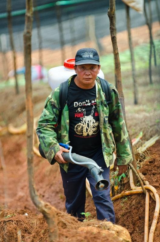 Ta wygląda przemysłowa uprawa ziół i roślin leczniczych w Chinach. Ze zdrowiem ma to niewiele wspólnego.