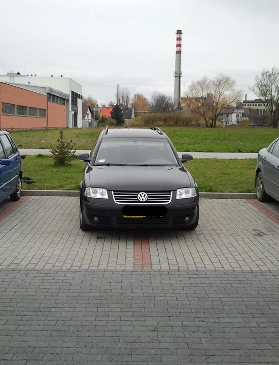 Kierowca audi, zajęte dwa miejsca. Burżuj–burak