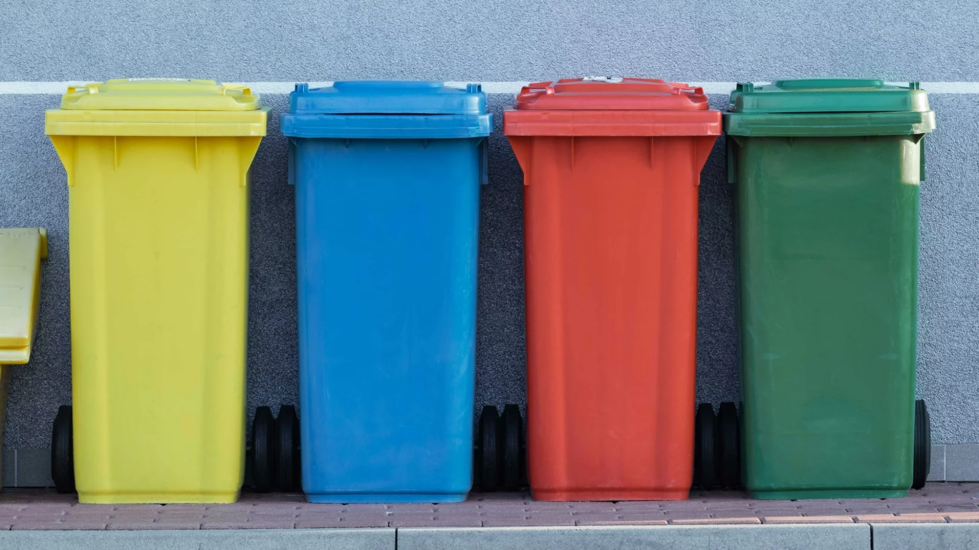 Ta jedna grupa Polaków nie musi płacić za wywóz śmieci. Trzeba tylko wypełnić wniosek