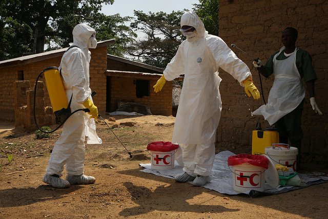 Czy w Polsce Ebola się rozprzestrzeni?