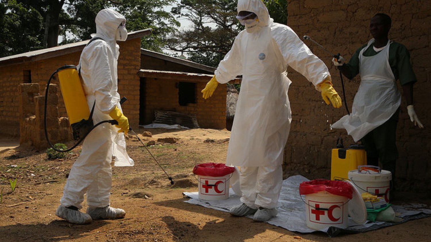 Czy w Polsce Ebola się rozprzestrzeni?