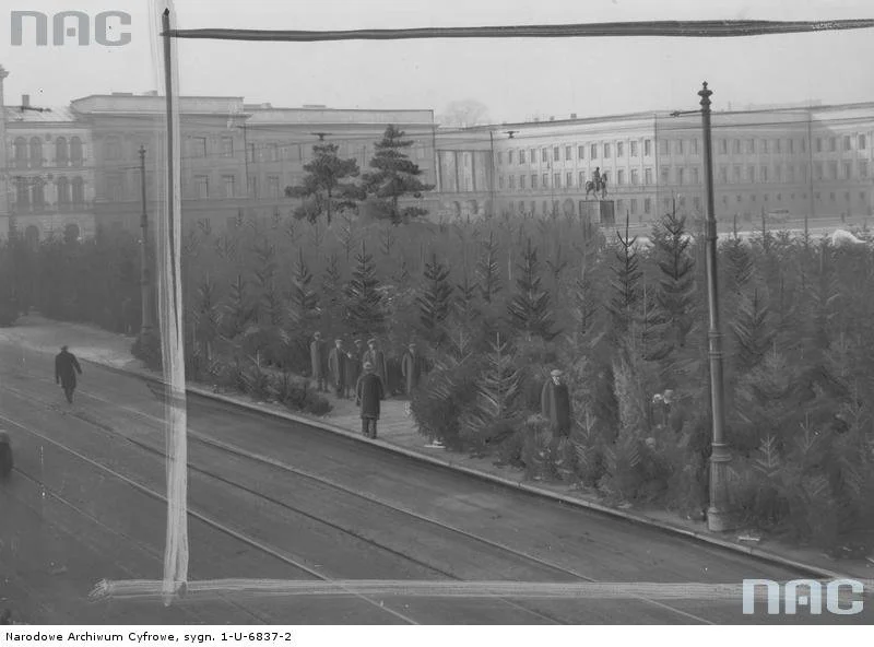 Choinki na Placu Piłsudskiego w 1932 roku.