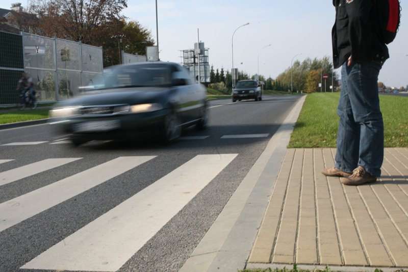 Brutalna prawda o Polakach. Badanie wykazało, jak niechętnie ratujemy pieszych na drodze.