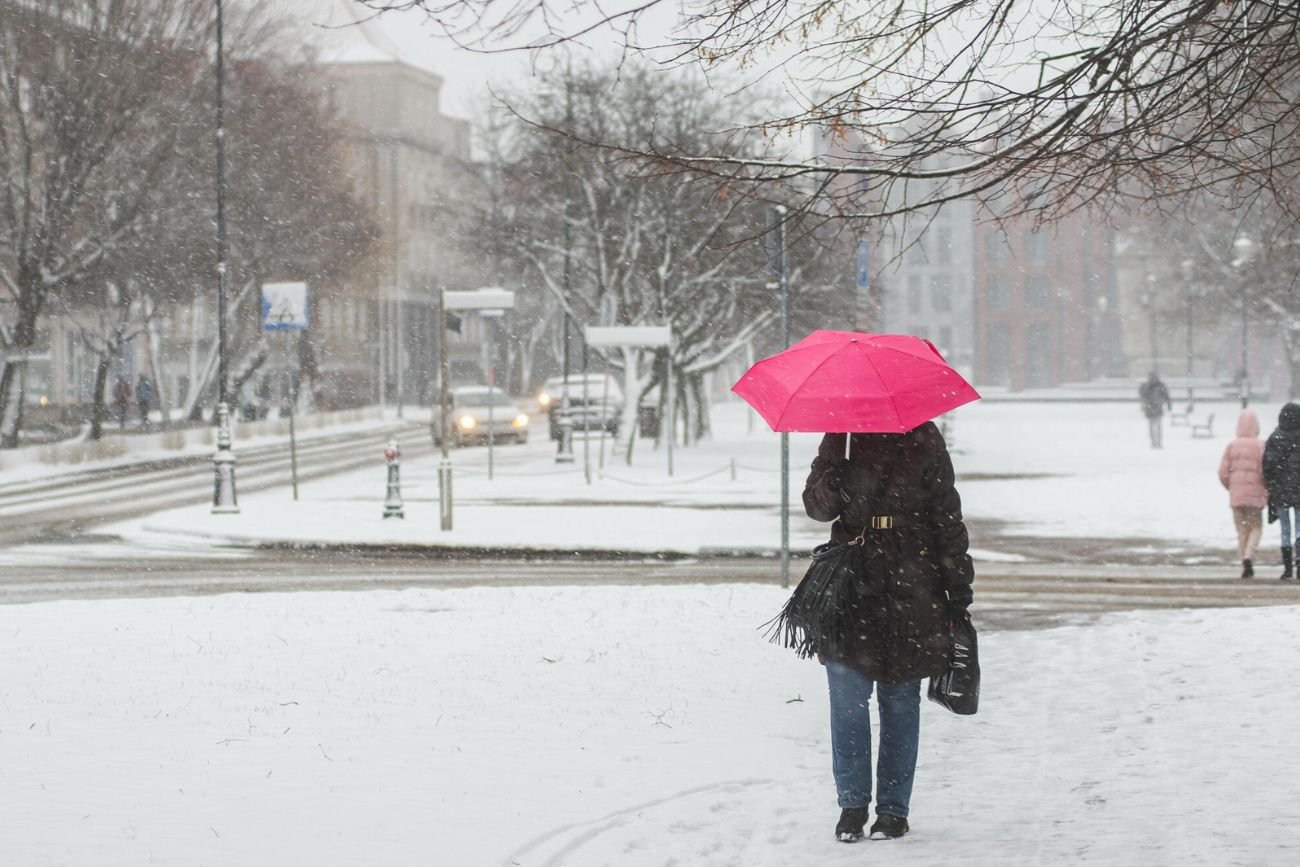 Nowe alerty pogodowe od IMGW. W tę niedziele trzeba uważać na zamiecie śnieżne, silny wiatr i opady śniegu.