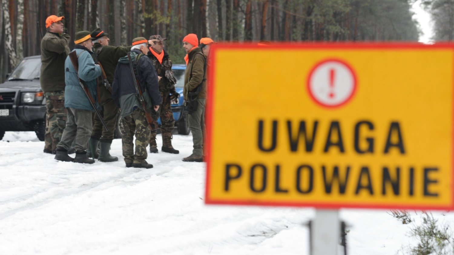 Koniec z przywilejami dla myśliwych. Będą musieli przechodzić okresowe badania lekarskie. Nowelizacja ustawy o broni i amunicji. Myśliwi będą musieli przechodzić okresowe badania lekarskie.