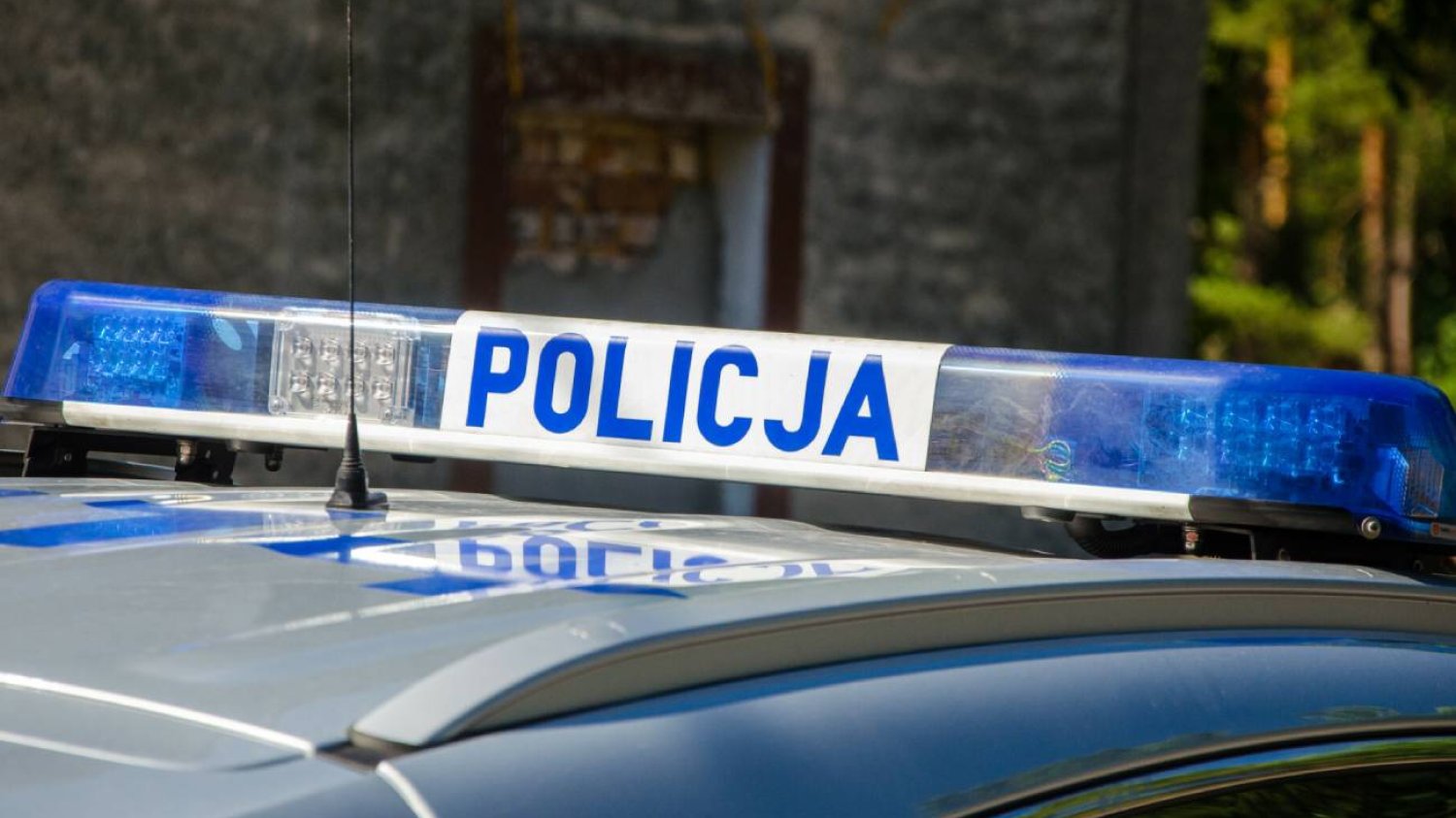 Policjanci przyjechali po 15-latkę. Matka twierdziła, że hałasuje królik