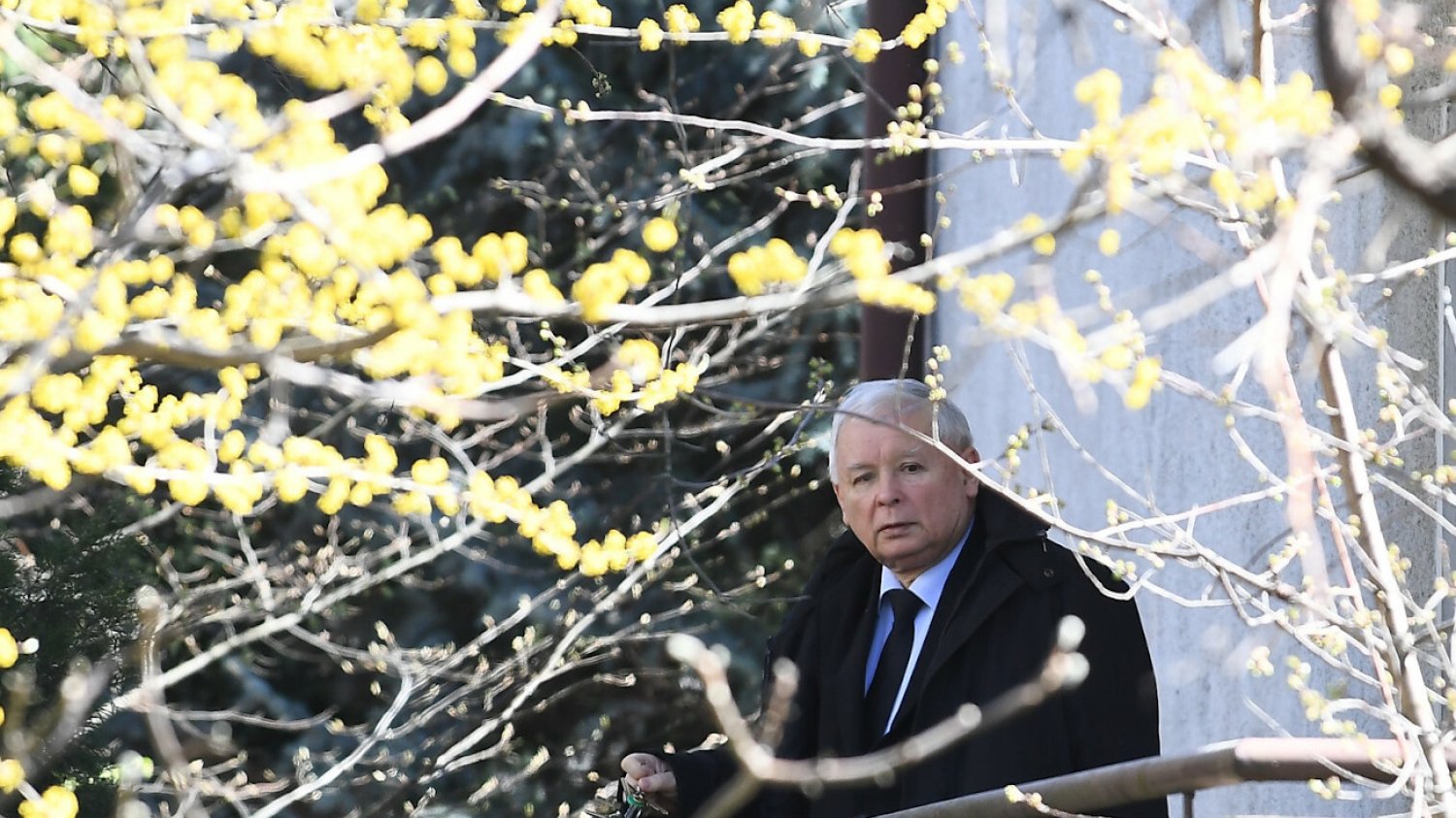 Prezes PiS Jarosław Kaczyński podczas urlopu ma odwiedzić w tym roku Bory Tucholskie.