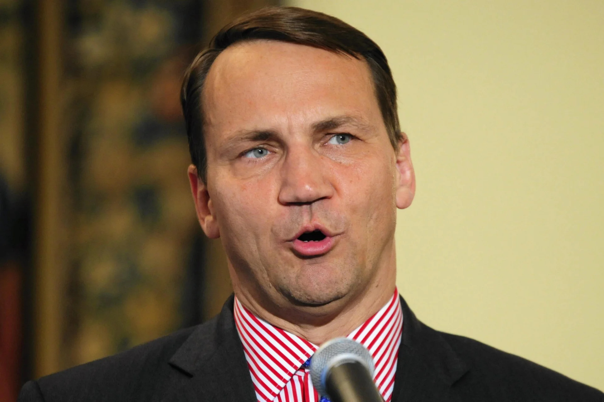 Minister Spraw Zagranicznych Radoslaw Sikorski podczas konferencji prasowej na temat narady przed szczytem NATO.