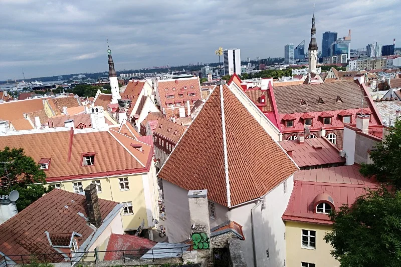 Widok z tarasu widokowego