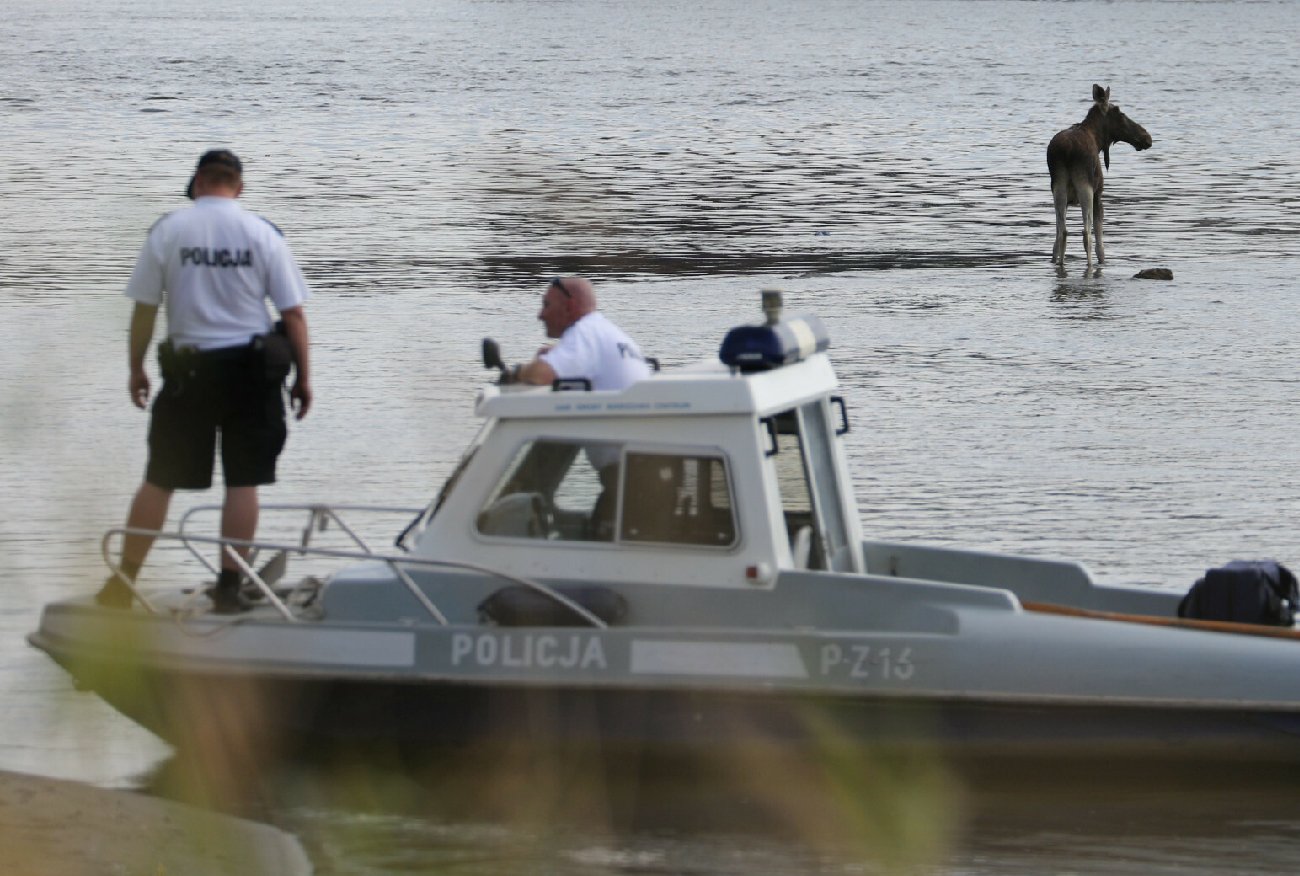 Ojciec Krzysztofa Dymińskiego natrafił na ludzkie szczątki. Trwają poszukiwania 17-latka.