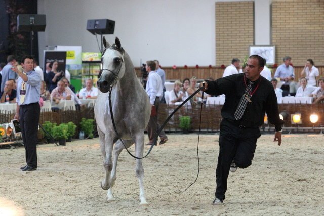 Marek Jurgiel zwolnił "złodziejskie" kierownictwo w Janowie