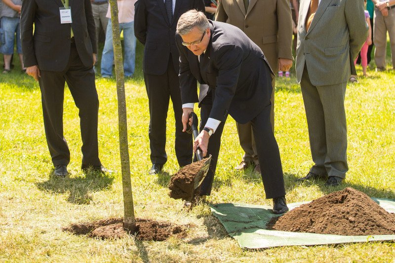 Prawica nie odpuszcza Komorowskiemu. Tym razem śledzi... stan posadzonych przez niego drzew