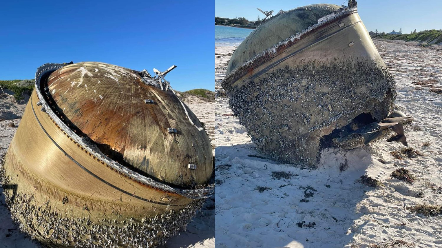 Australia. Wielka kapsuła wyrzucona na plażę. Pilna akcja służb.