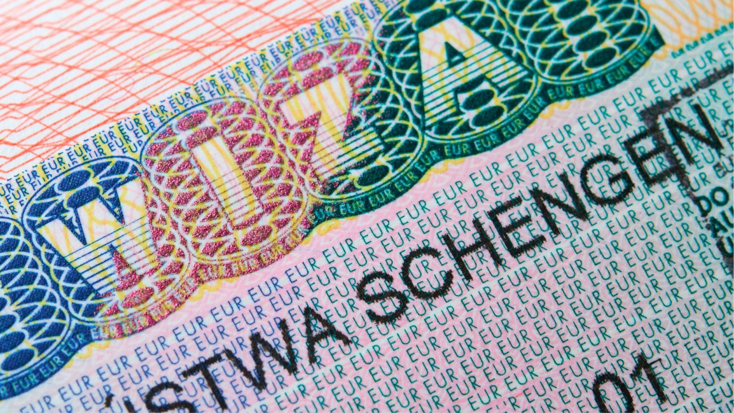 Zarzuty dla byłego ministra w aferze wizowej. Od tej listy aż boli głowa