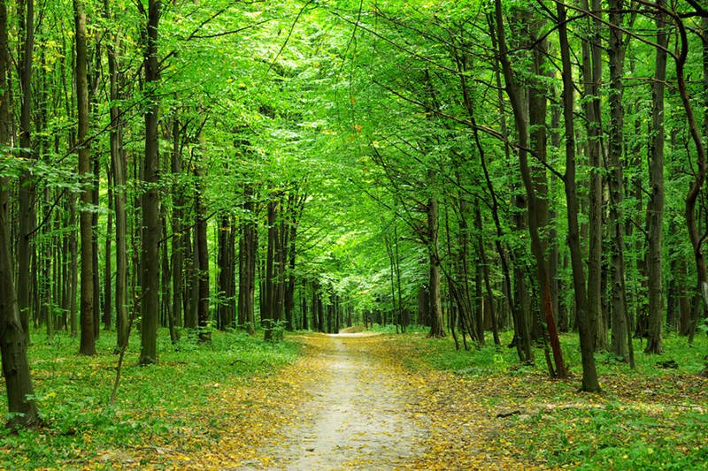 Jaki jest sekret zadowolenia z [url=http://tinyurl.com/kld7924]życia[/url]?