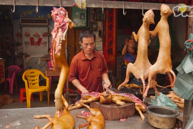 Próbowałeś szynki z psa lub aromatycznej kiełbasy z kota? To także europejski przysmak, a nie wymysł azjatyckiej biedoty