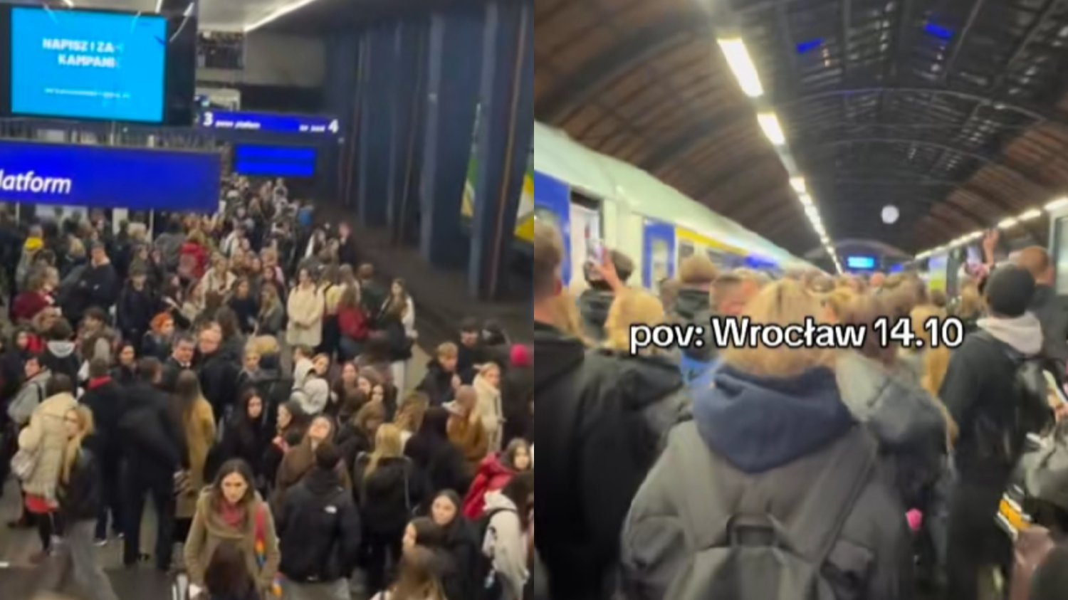 Złotówka, która sparaliżowała dworce. Nagrania z promocji PKP są już viralem