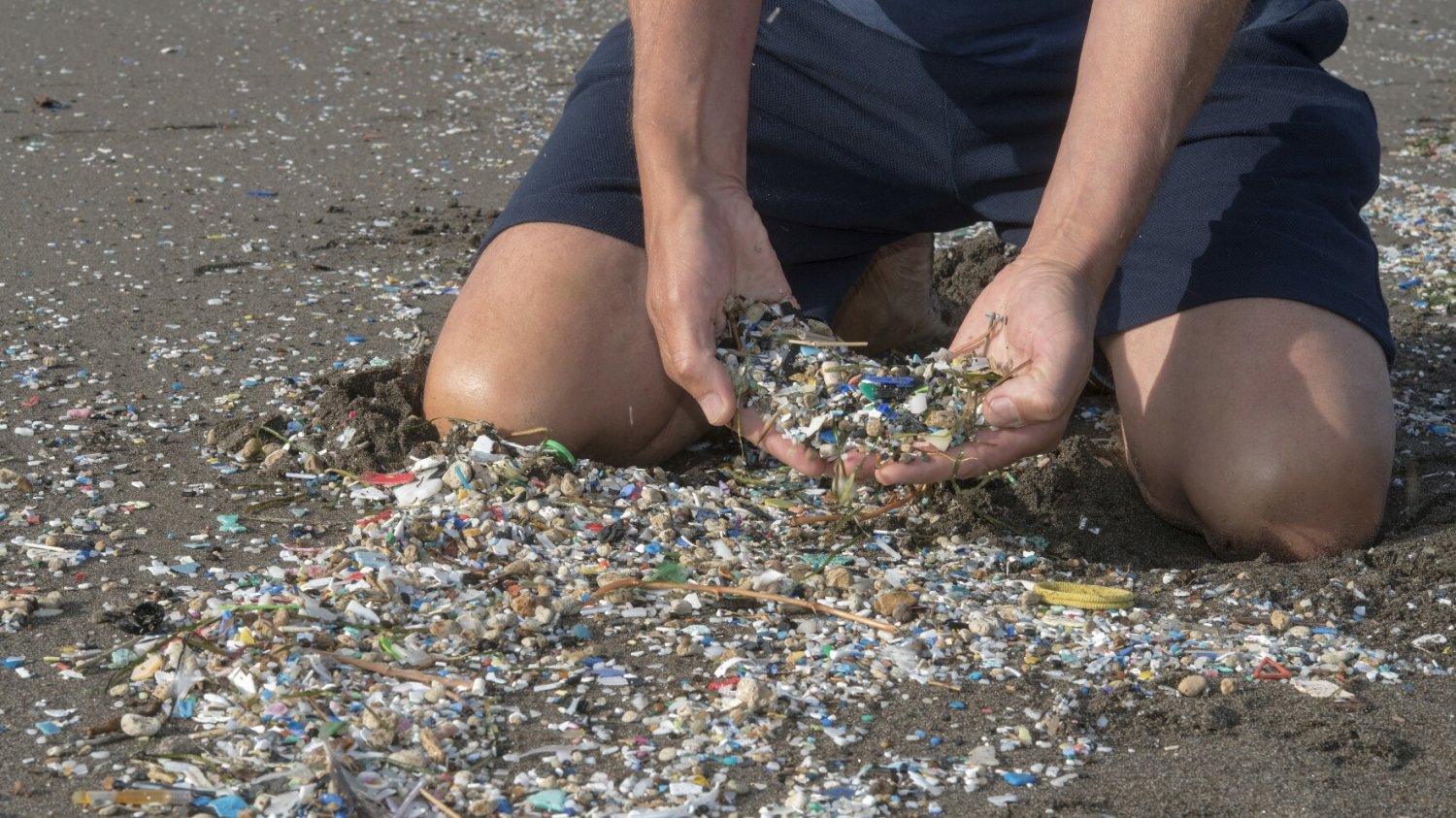 Coraz więcej mikroplastiku w ludzkim ciele. Narażony jest jeden organ