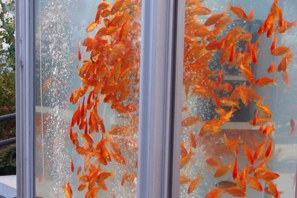 Budka szczęścia w środku miasta.