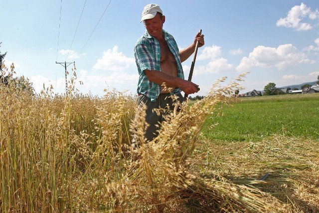 Jak złożyć wniosek o dopłaty bezpośrednie dla rolników 2018?