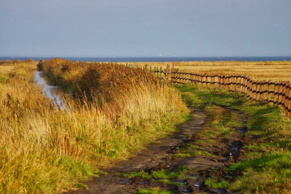 Rezerwat Beka