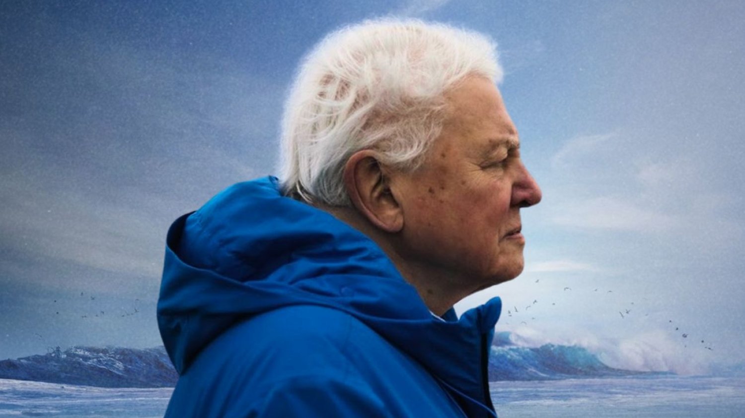 "David Attenborough: Świat oceanów"
