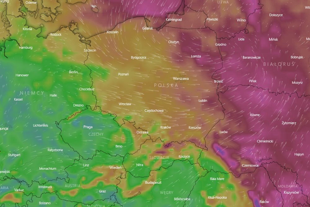 Tak ciepłego przełomu stycznia i lutego jeszcze nie było.