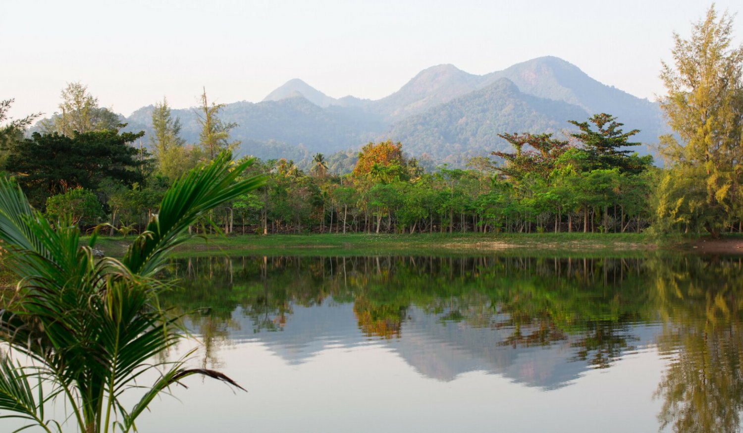 Koreańczyk zaraził się tą amebą podczas wyprawy do Tajlandii.