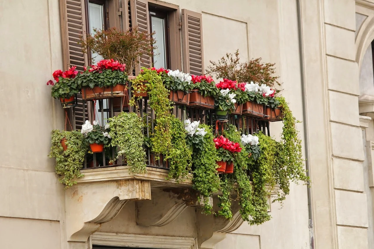 Pelargonie, surfinie, fuksje – latem nasz balkon powinien tonąć w kwiatach.