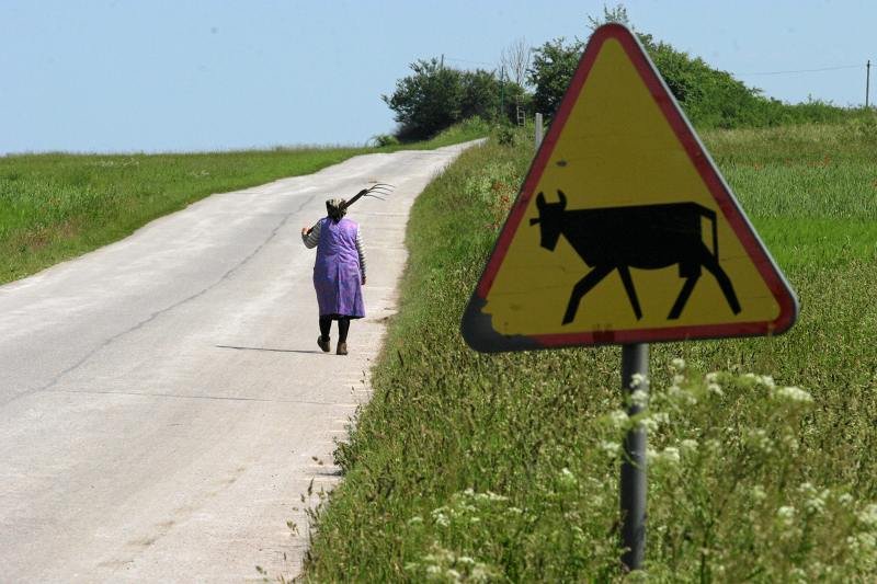 Skąd w Polsce pogarda dla wsi i "wieśniaków"?