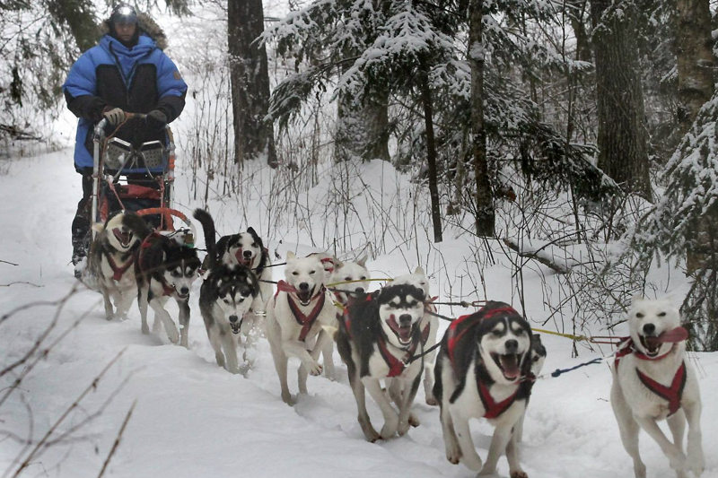 Dariusz Morsztyn i jego zaprzęg.