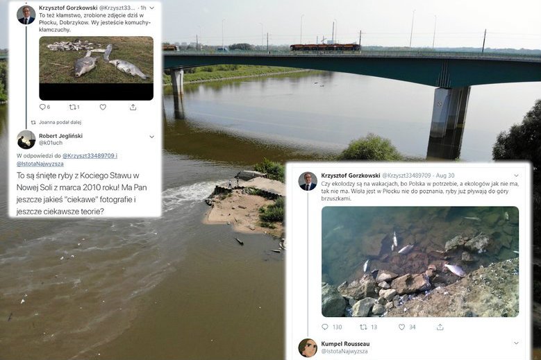 Krzysztof Gorzkowski przyznał, że wrzucił fake newsa z martwymi rybami. Fotografia miała pochodzić z Płocka.