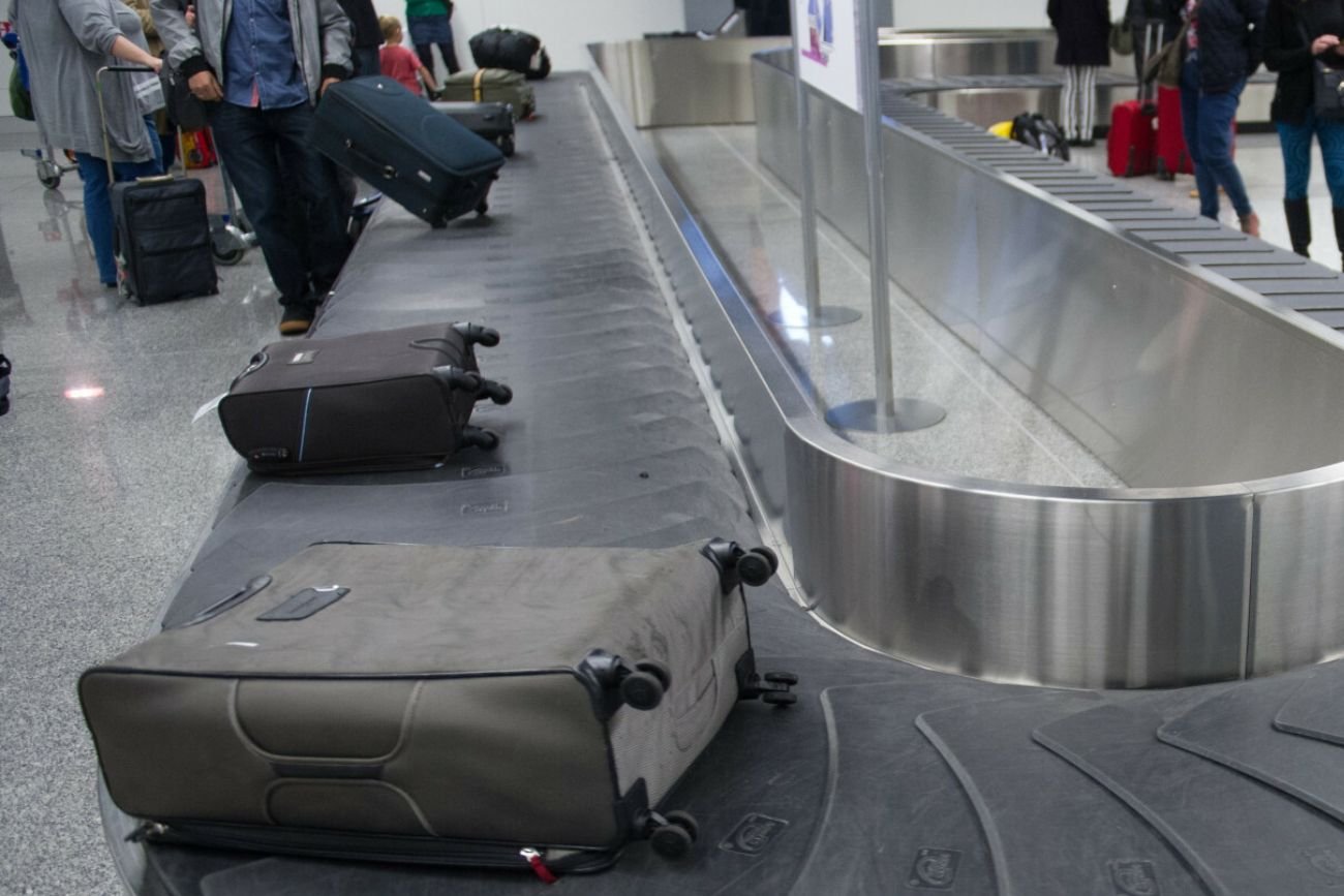 Gekon z Dominikany w walizce w Łodzi