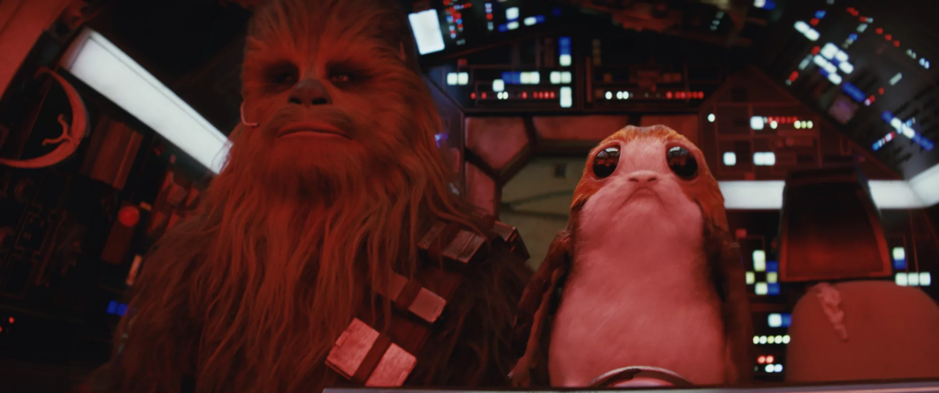 Porgusie znajdą wielu fanów. Nawet Chewbacca je polubił!