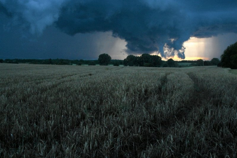 Burze i gradobicie mają wystąpić na Podlasiu.