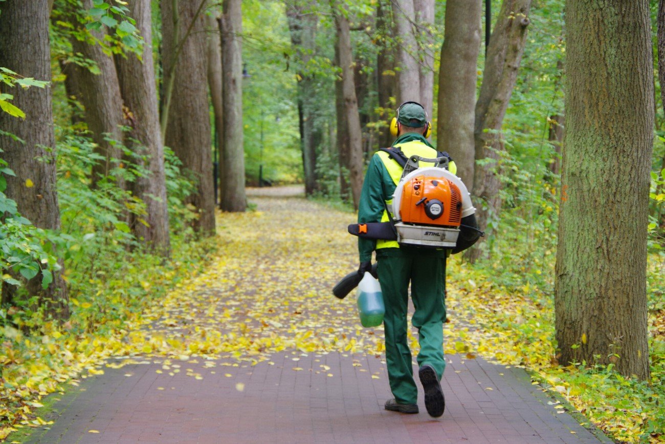 Pyły wznoszone przez dmuchawy do liści mogą powodować raka