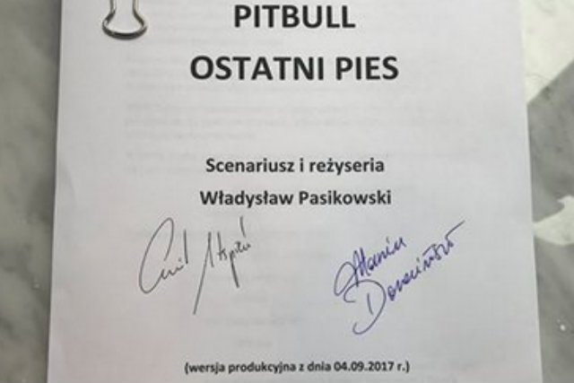 Reżyserem najnowszego "Pitbulla" będzie Władysław Pasikowski.